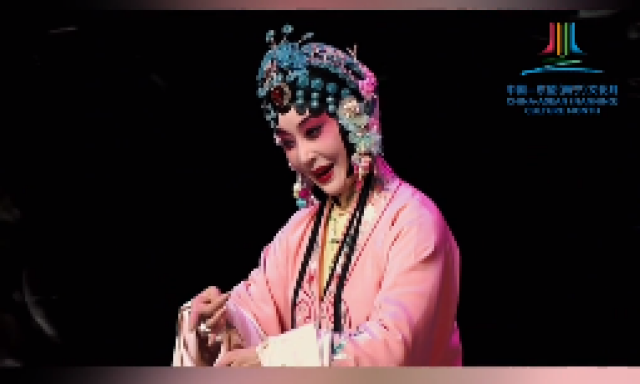 八朵梅花 相聚邕城